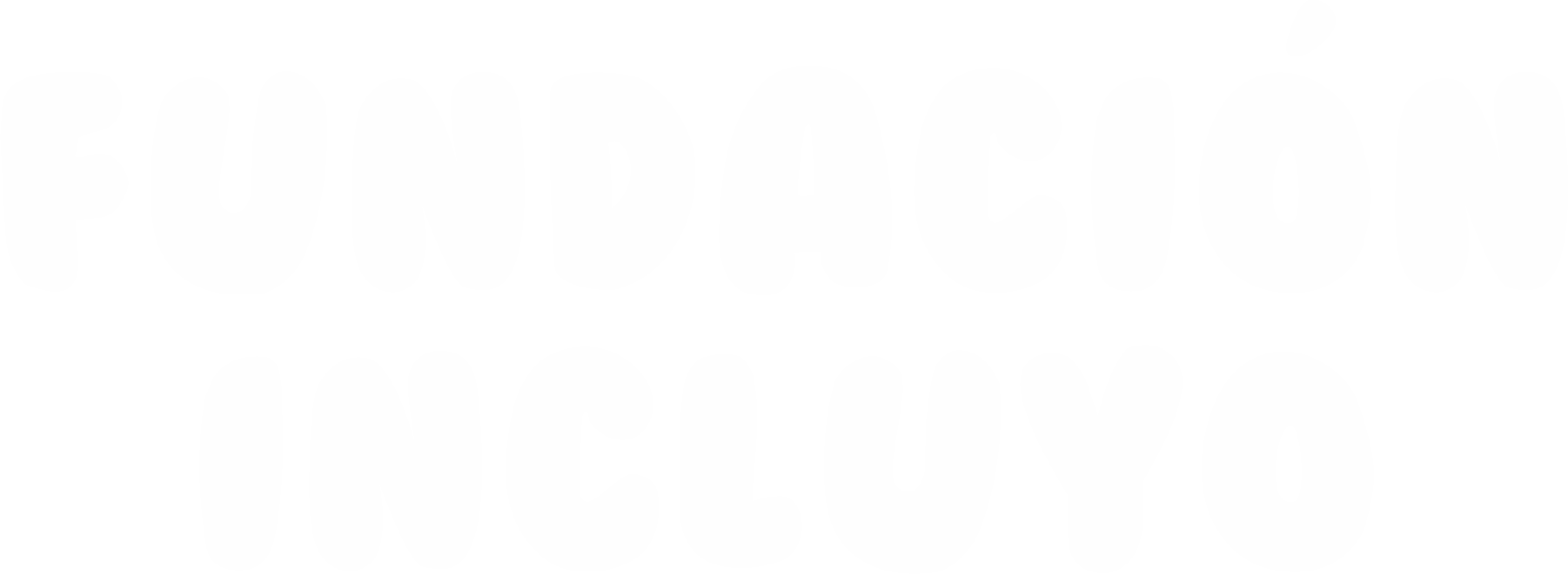 Fundación Incluyo